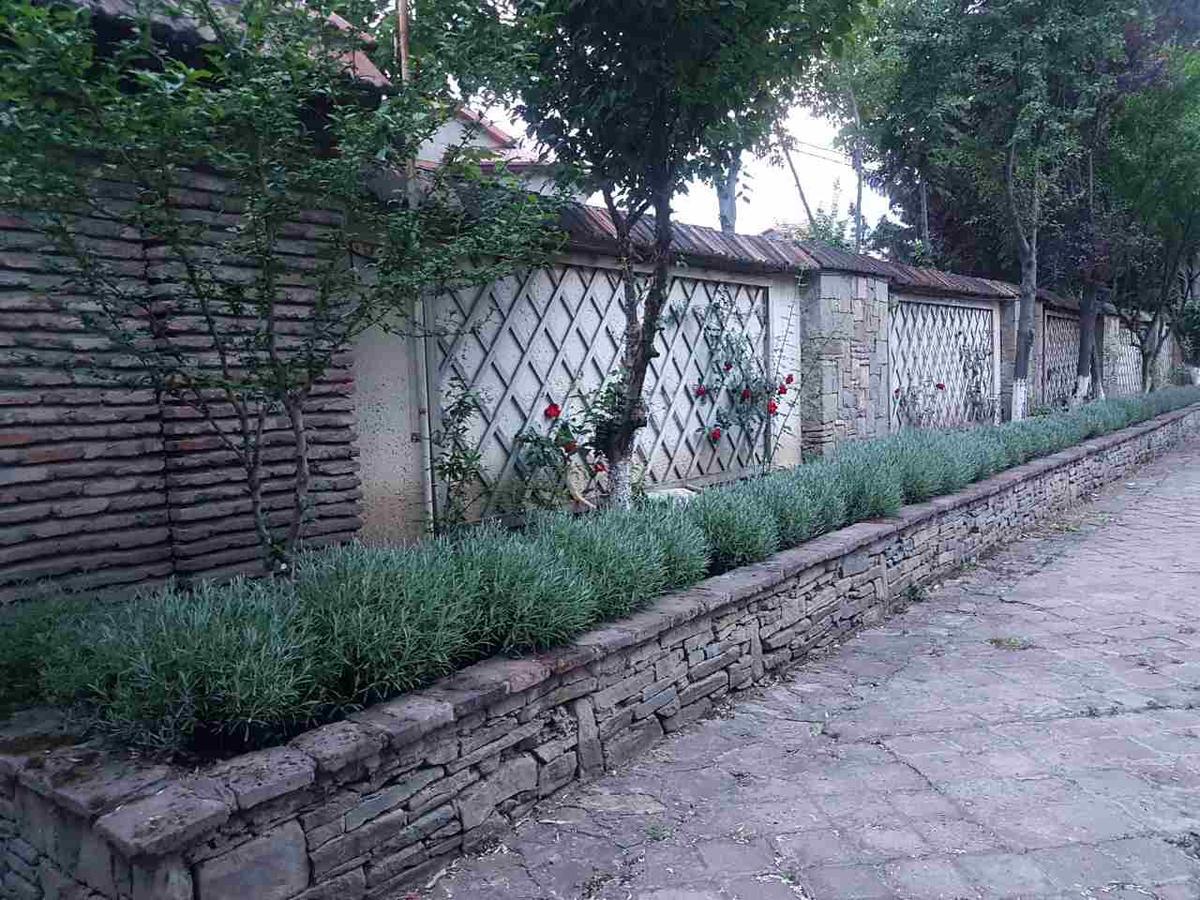 Rare House With Garden Vila Tbilisi Exterior foto