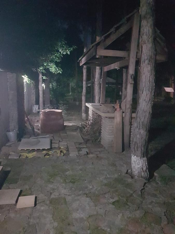 Rare House With Garden Vila Tbilisi Exterior foto