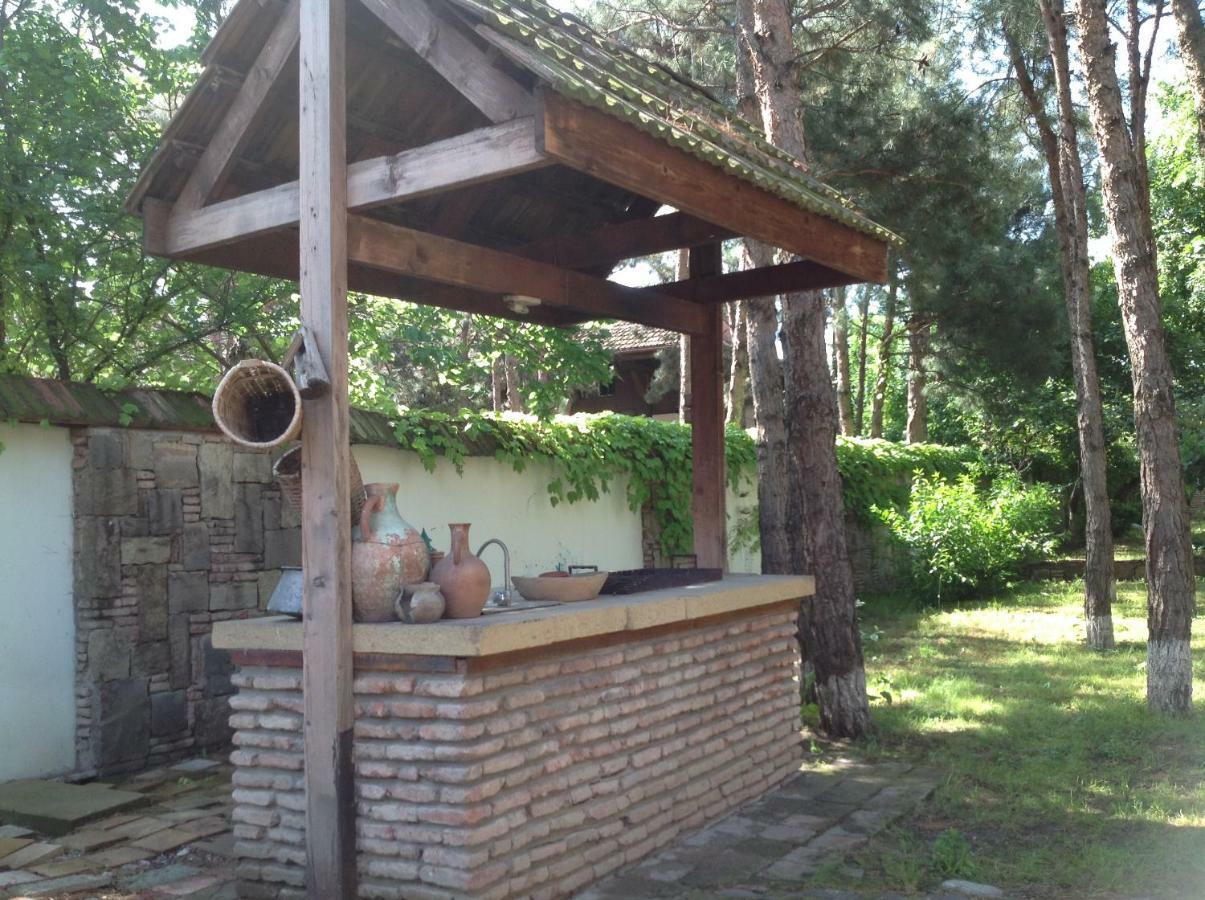 Rare House With Garden Vila Tbilisi Exterior foto